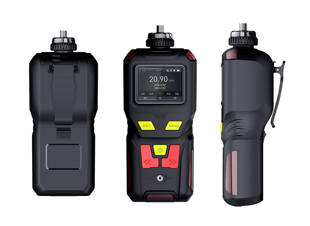 TD400-SHH-H2型便攜式氫氣檢測(cè)儀